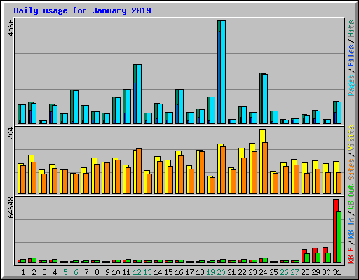 Daily usage for January 2019