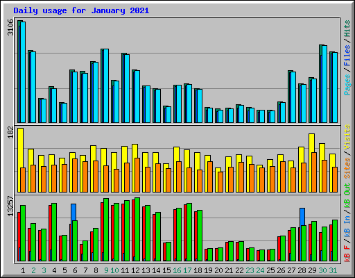 Daily usage for January 2021
