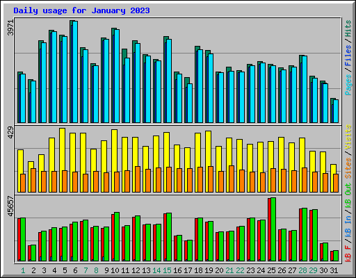 Daily usage for January 2023