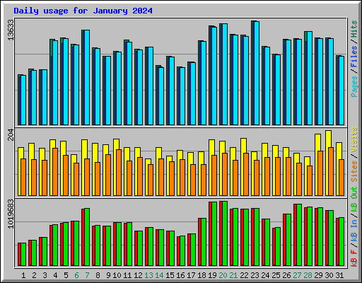 Daily usage for January 2024