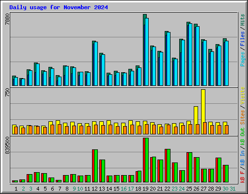 Daily usage for November 2024