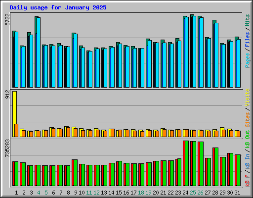 Daily usage for January 2025