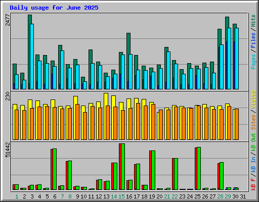 Daily usage for June 2025