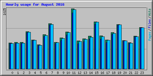 Hourly usage for August 2016