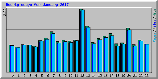 Hourly usage for January 2017