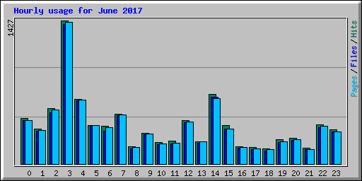 Hourly usage for June 2017