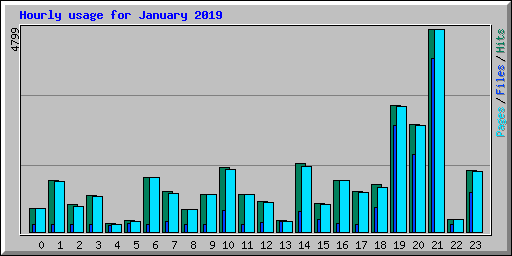 Hourly usage for January 2019