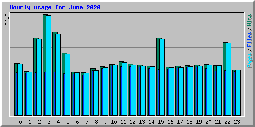 Hourly usage for June 2020