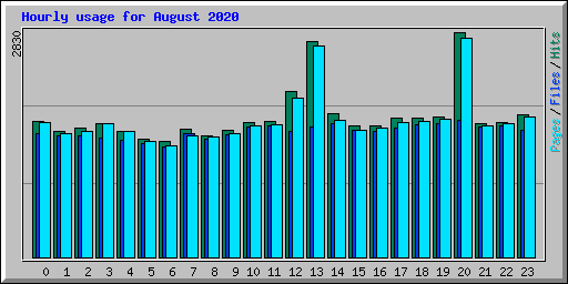 Hourly usage for August 2020