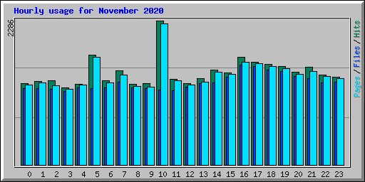Hourly usage for November 2020