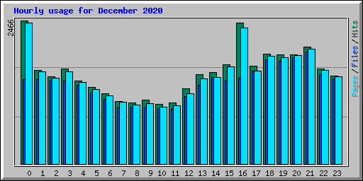 Hourly usage for December 2020