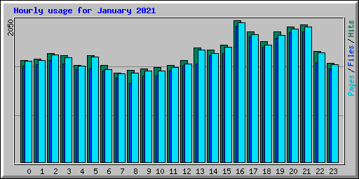 Hourly usage for January 2021