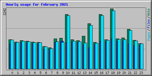 Hourly usage for February 2021