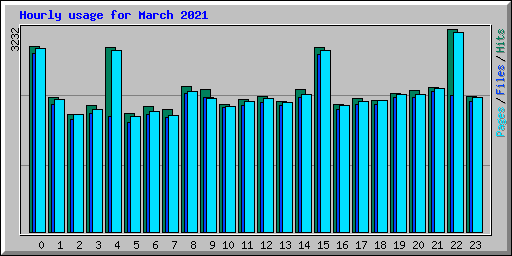 Hourly usage for March 2021