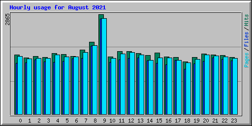 Hourly usage for August 2021
