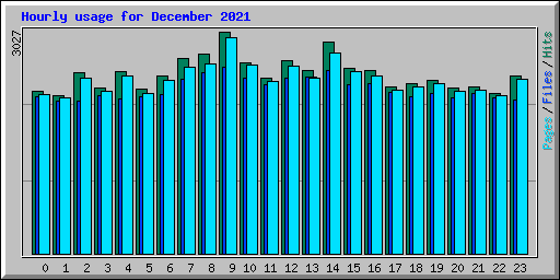 Hourly usage for December 2021