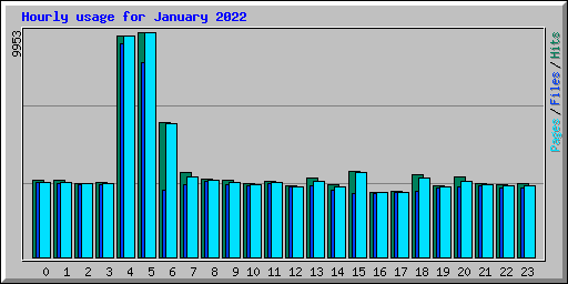 Hourly usage for January 2022