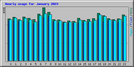 Hourly usage for January 2023