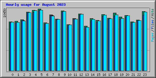 Hourly usage for August 2023