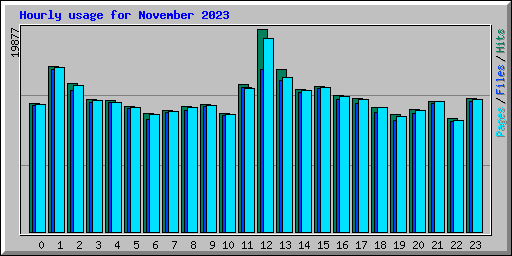Hourly usage for November 2023