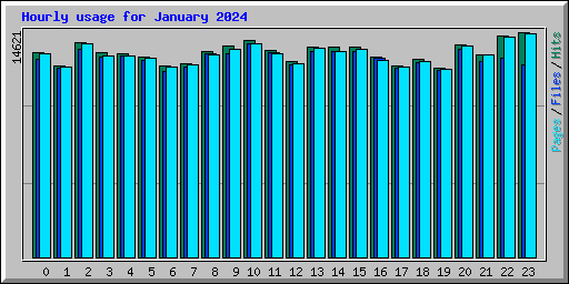 Hourly usage for January 2024