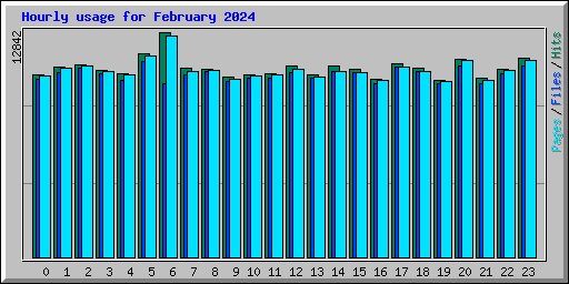 Hourly usage for February 2024