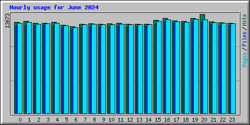 Hourly usage for June 2024