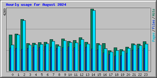 Hourly usage for August 2024