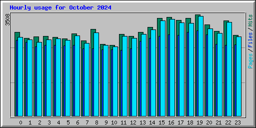 Hourly usage for October 2024
