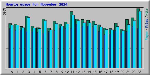 Hourly usage for November 2024
