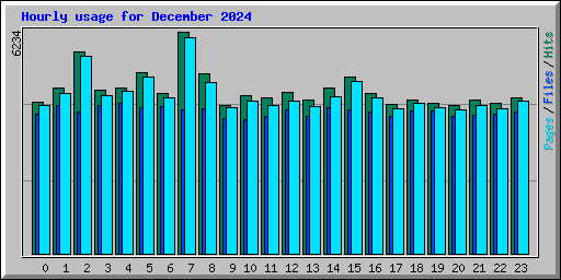 Hourly usage for December 2024