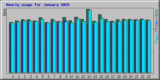 Hourly usage for January 2025