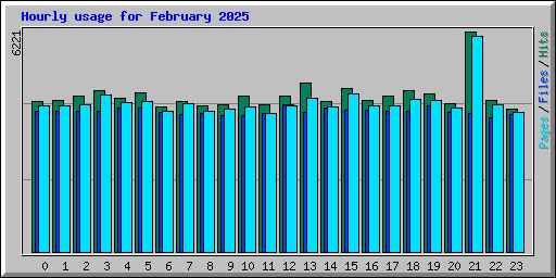Hourly usage for February 2025
