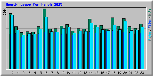 Hourly usage for March 2025