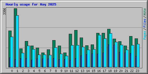 Hourly usage for May 2025