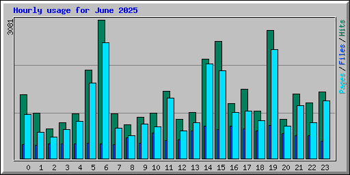 Hourly usage for June 2025