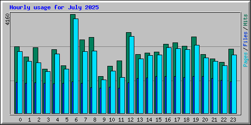 Hourly usage for July 2025