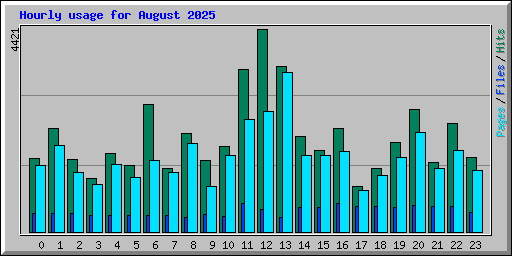 Hourly usage for August 2025