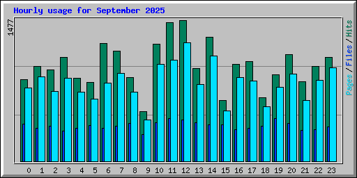 Hourly usage for September 2025