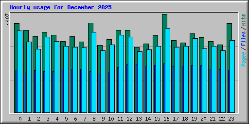 Hourly usage for December 2025
