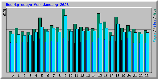 Hourly usage for January 2026