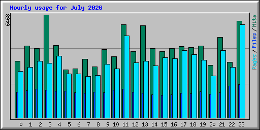 Hourly usage for July 2026